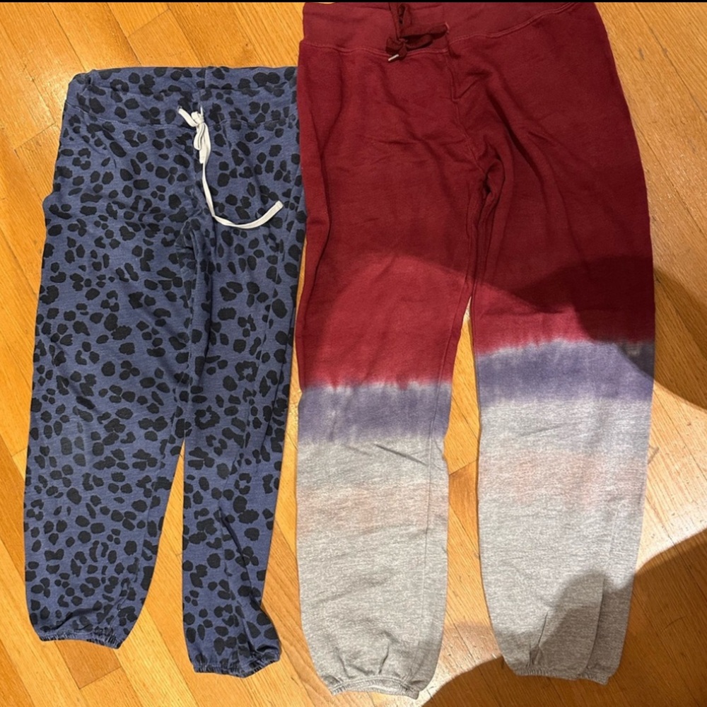 Women’s sundry ombré and blue Joggers